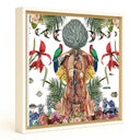 Anatomical