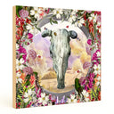 Bull Skull