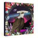 My Dream Hammerhead Eagle