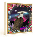 My Dream Hammerhead Eagle