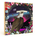 My Dream Hammerhead Eagle