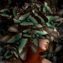 <p>Flower & Butterfly Brain</p>