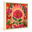 Dahlia