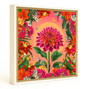 Dahlia