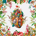 <p>Living Anatomy</p>