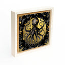 Lost Moon Octopus