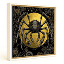 Spider Crab