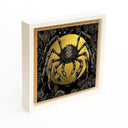 Spider Crab