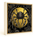 Spider Crab