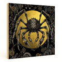 Spider Crab